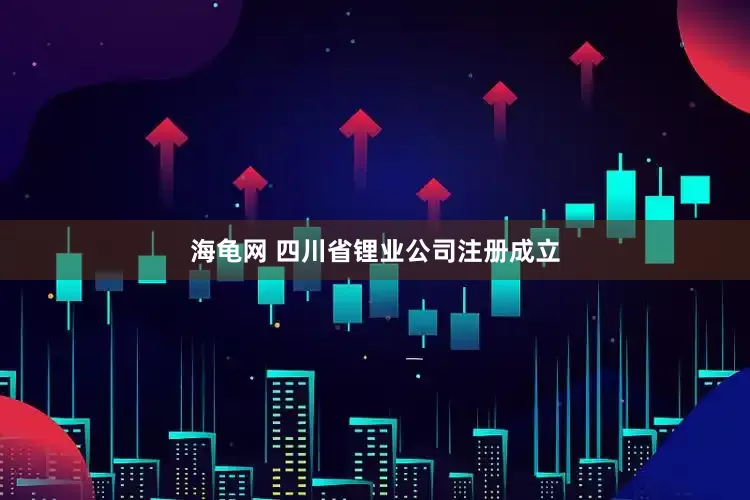 海龟网 四川省锂业公司注册成立