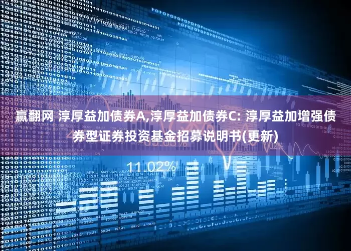 赢翻网 淳厚益加债券A,淳厚益加债券C: 淳厚益加增强债券型证券投资基金招募说明书(更新)
