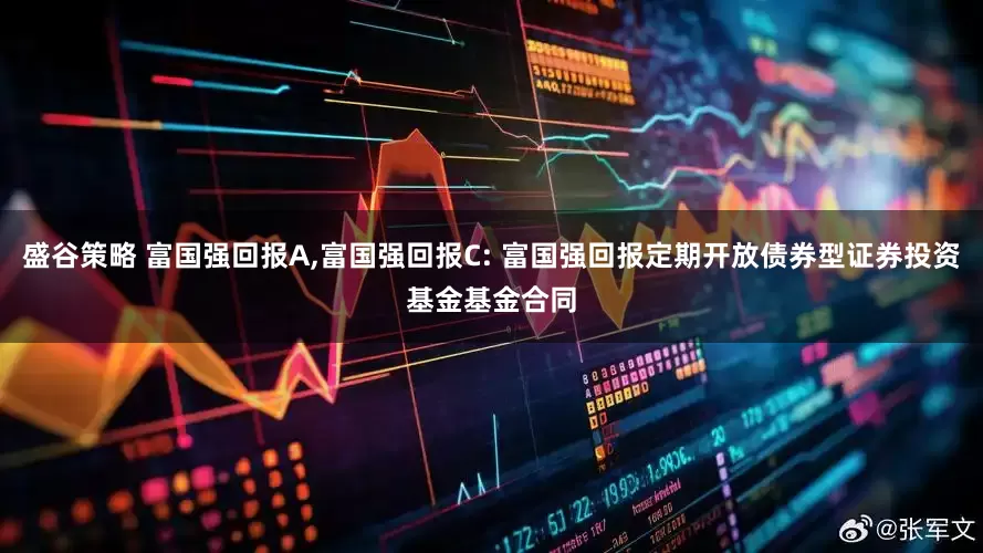 盛谷策略 富国强回报A,富国强回报C: 富国强回报定期开放债券型证券投资基金基金合同