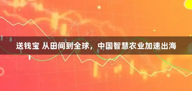 送钱宝 从田间到全球，中国智慧农业加速出海