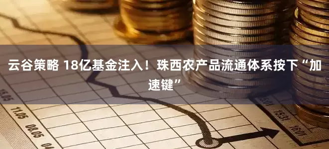 云谷策略 18亿基金注入！珠西农产品流通体系按下“加速键”