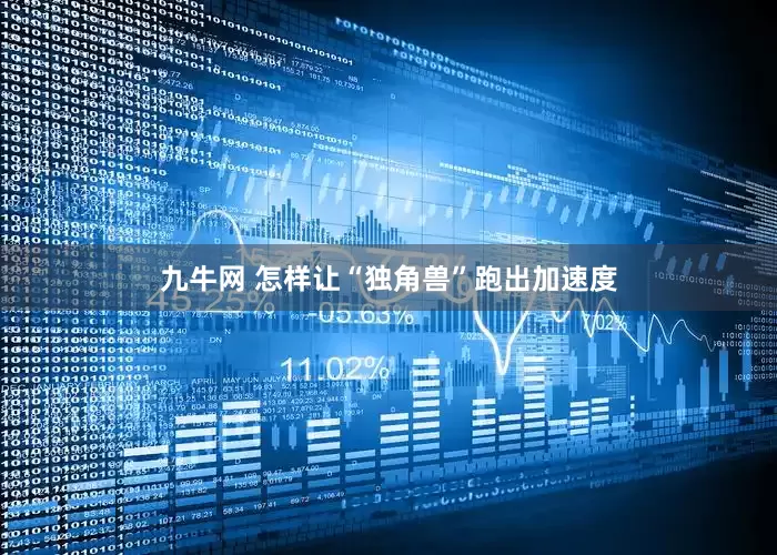 九牛网 怎样让“独角兽”跑出加速度
