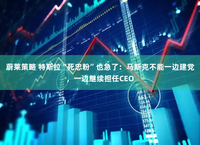 蔚莱策略 特斯拉“死忠粉”也急了：马斯克不能一边建党，一边继续担任CEO