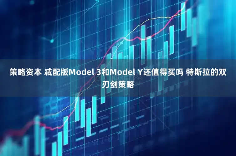 策略资本 减配版Model 3和Model Y还值得买吗 特斯拉的双刃剑策略
