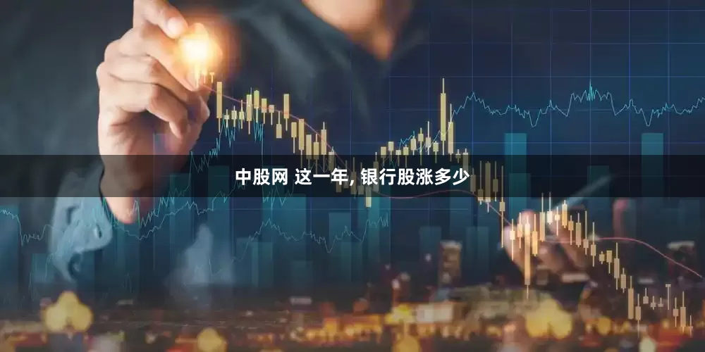 中股网 这一年, 银行股涨多少